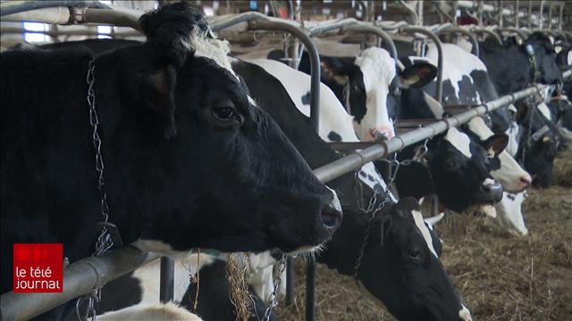 La hausse de l'essence frappe durement les agriculteurs