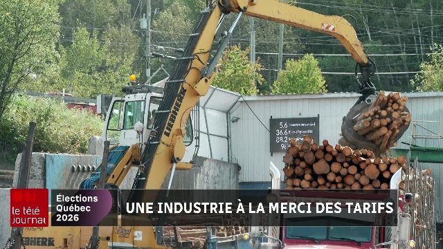 Saguenay-Lac-Saint-Jean : l’industrie forestière à la merci des tarifs
