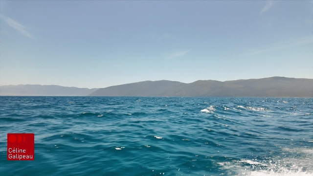 L’île de Sazan face au projet touristique controversé de la famille Trump