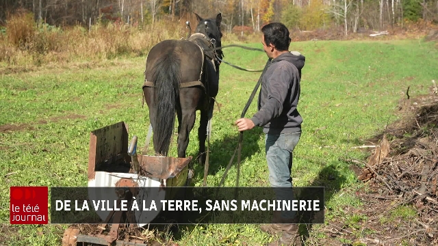 Ferme Lytton : cultiver la terre sans machinerie industrielle
