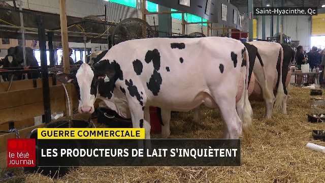 Guerre commerciale : les producteurs laitiers retiennent leur souffle