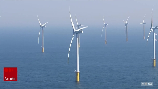Un investissement de 100 M$ du gouvernement fédéral pour l'éolien en mer en N.-É.