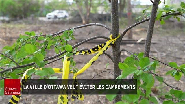 Nettoyage d'un site d'itinérance à Ottawa : les intervenants sonnent l'alarme