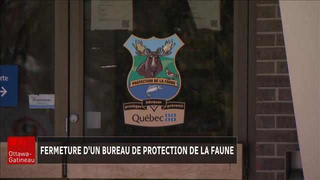 Moins d'agents de la faune et plus de crainte pour le braconnage en Outaouais