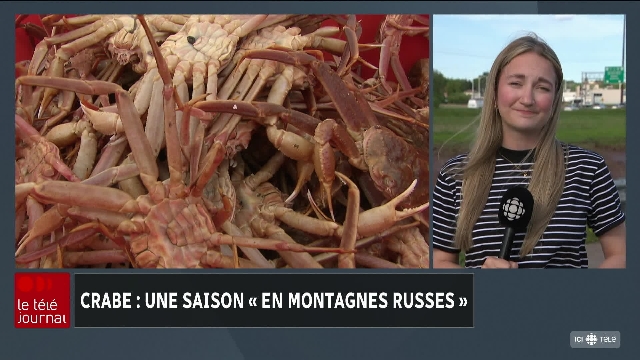 Fin de la saison de pêche au crabe, l’heure est maintenant au bilan