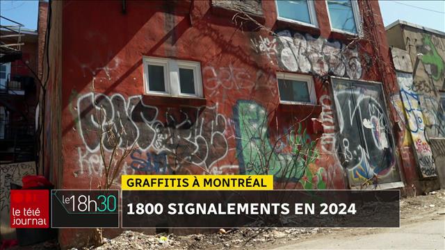 De plus en plus de murales (et de graffitis) à Montréal | Info | Radio-Canada