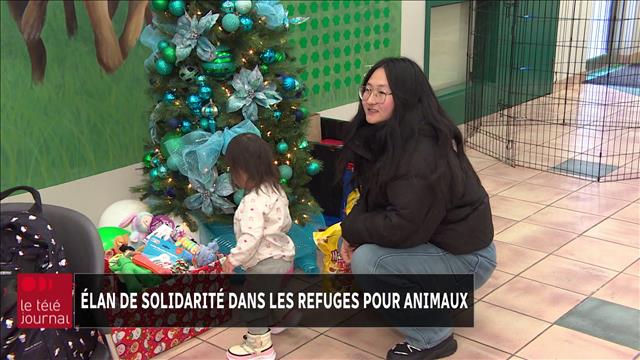 Élan de générosité dans les refuges pour animaux