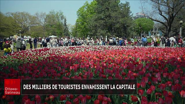 Touristes et tulipes, bien présents à Ottawa