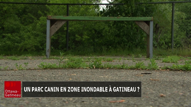 Un parc canin en zone inondable à Gatineau ?