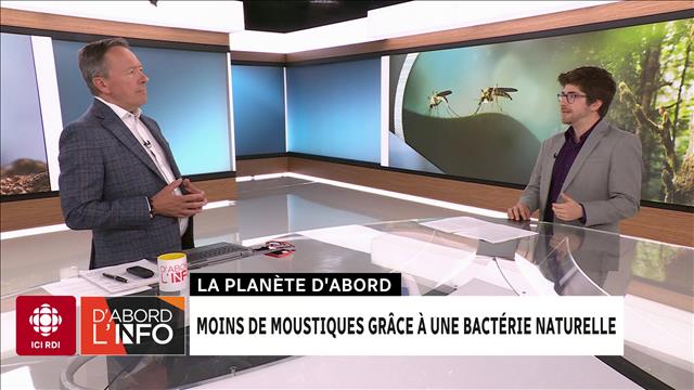 8 façons de news sans casser votre tirelire