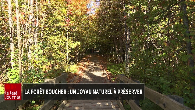 La forêt Boucher lance une campagne de financement