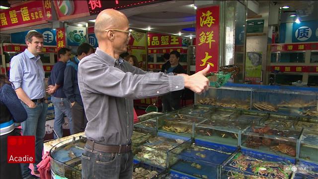 Le homard vivant canadien frappé par les tarifs douaniers chinois