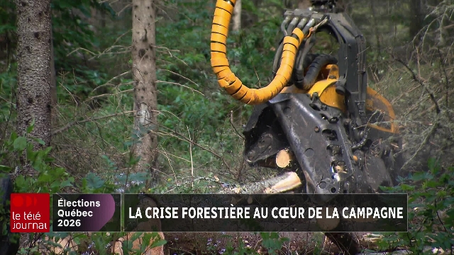 La crise forestière au cœur de la campagne dans la Vallée-de-la-Gatineau