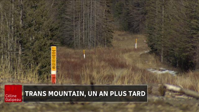 After a year, did the promises fill the mountain tubes? star-news.press/wp